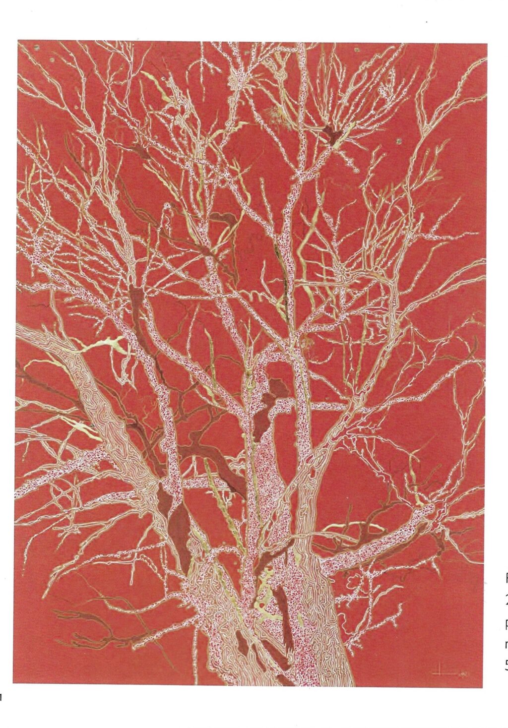 Lux Eterna, River Red Gum Study III, 2025, pigment ink, 24K gold leaf, mirror foil on paper